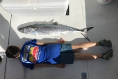 snapper-min